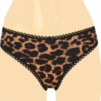 J&C - String - Animal